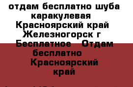 отдам бесплатно шуба каракулевая - Красноярский край, Железногорск г. Бесплатное » Отдам бесплатно   . Красноярский край